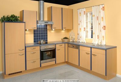 廚柜設(shè)計(jì)圖片 解鎖廚房專業(yè)設(shè)計(jì)的視覺靈感與實(shí)用指南